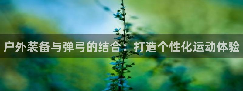 新宝gg 创造