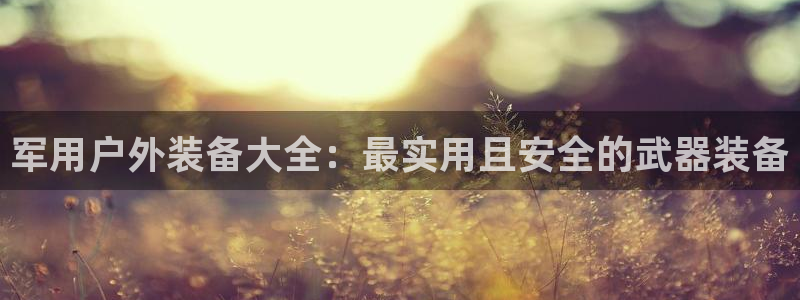新宝gg好吗