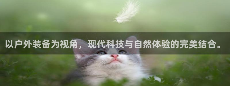 新宝gg登录地址