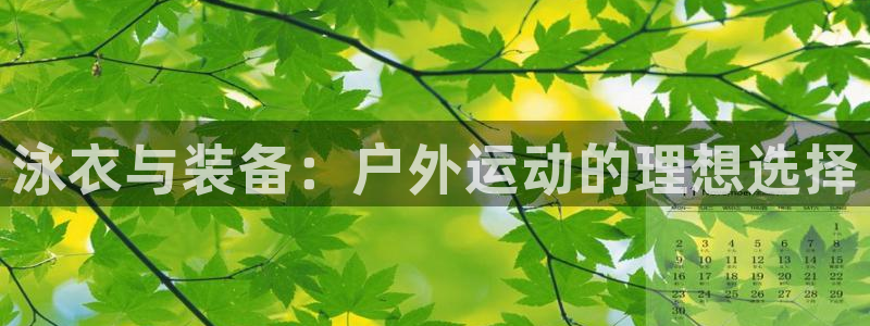 新宝gg彩票