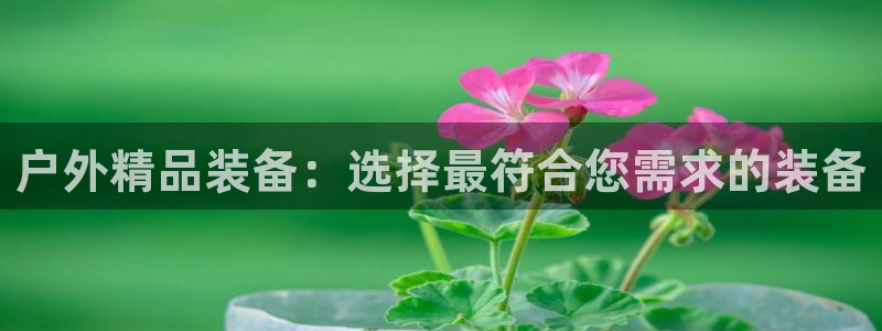 新宝gg平台注册