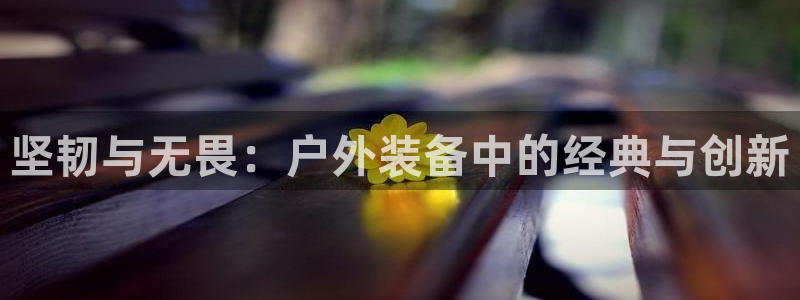 新宝gg工资