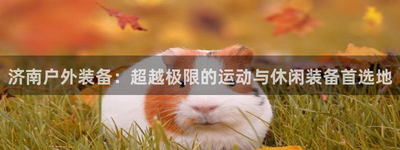 新宝gg招商42873
