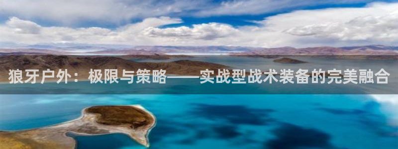 新宝gg登录网址