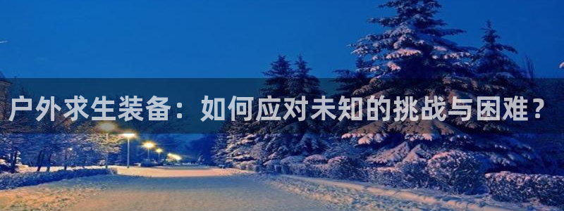 新宝gg下载