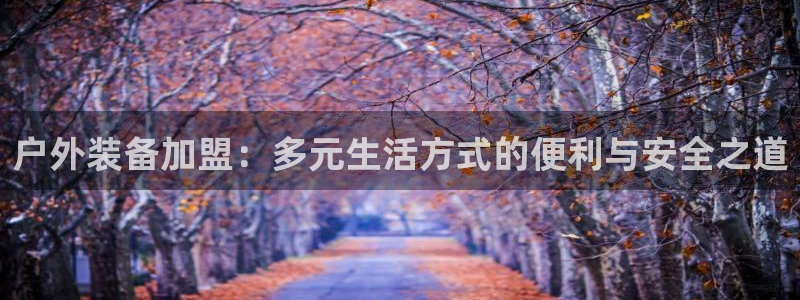 新宝 gg创造