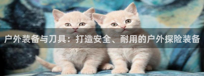 新宝gg娱乐平台