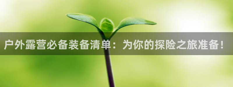 新宝gg公司