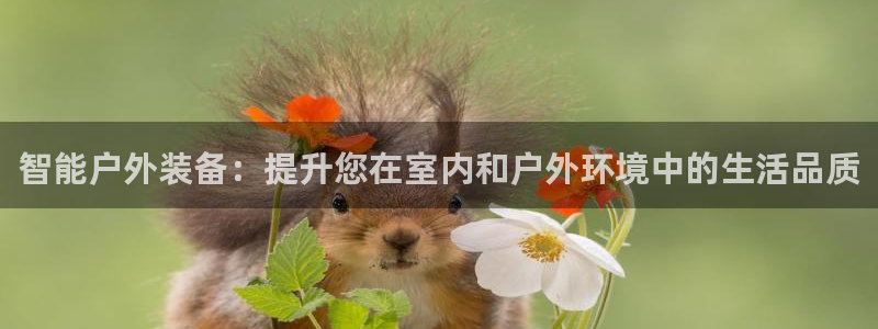 新宝太阳 gg