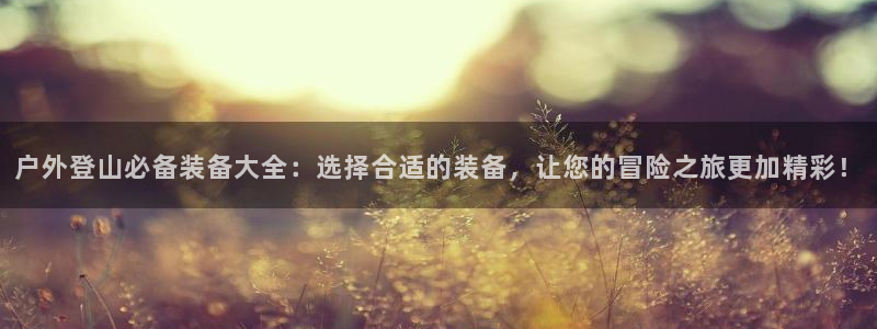 新宝gg返点1956是多少