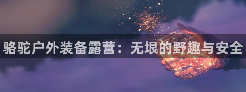 x新宝gg