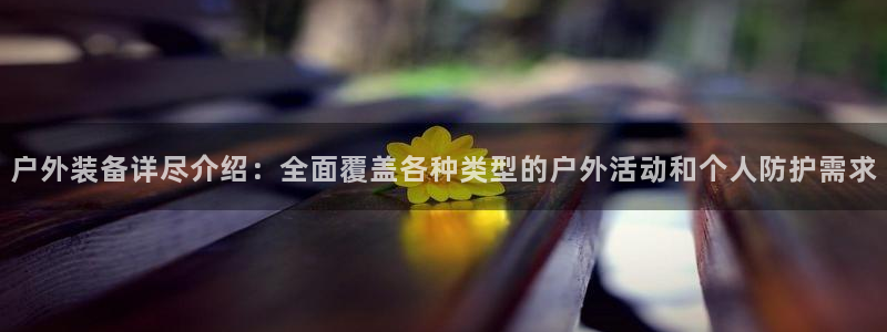 新宝gg登陆