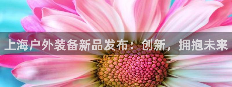 新宝 gg平台