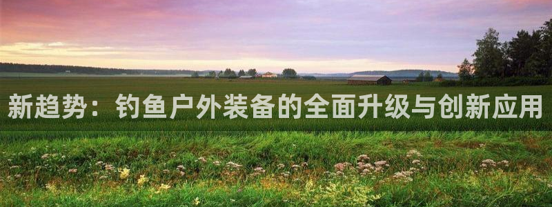 新宝gg介绍