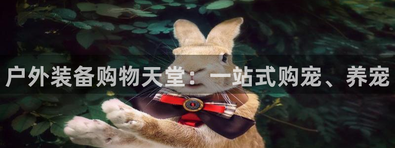 收新宝gg