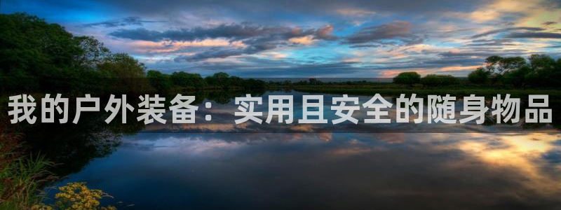 新宝 gg 总代理