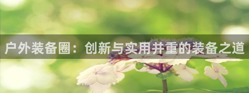 新宝集团gg