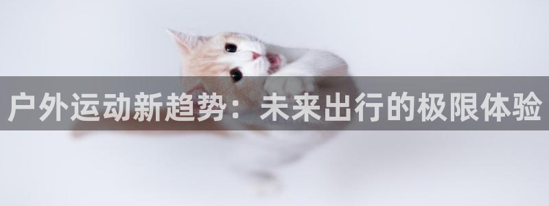新宝gg--创