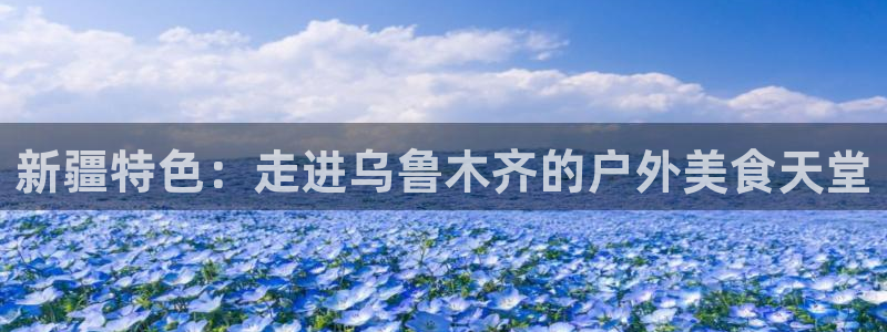 新宝GG专业团队