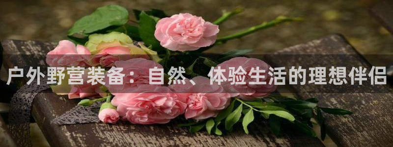 新宝gg公司
