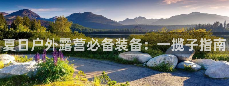 新宝GG专业团队