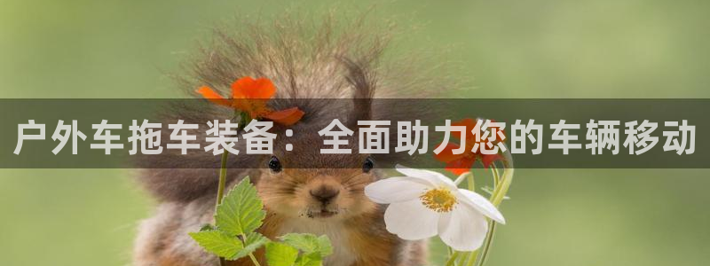 新宝娱乐gg