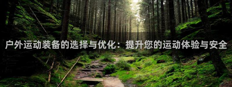 新宝gg维护