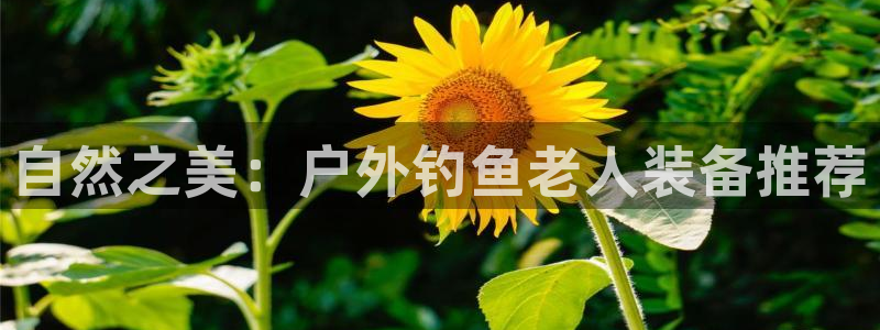 新宝gg1956登陆