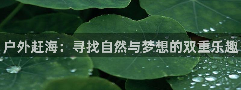 旧版新宝GG