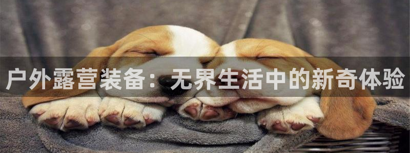新宝GG专业团队