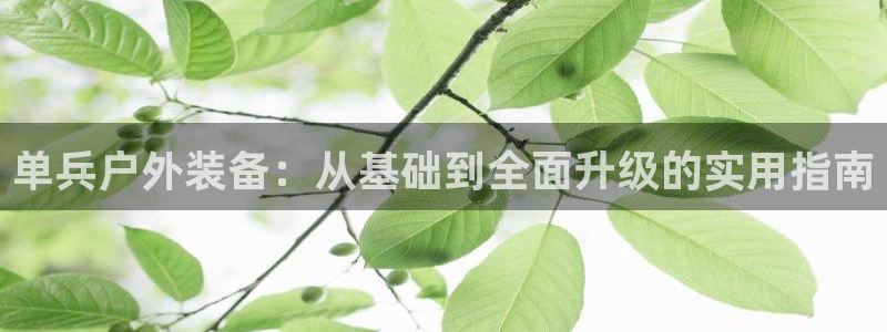 新宝GG冰冰