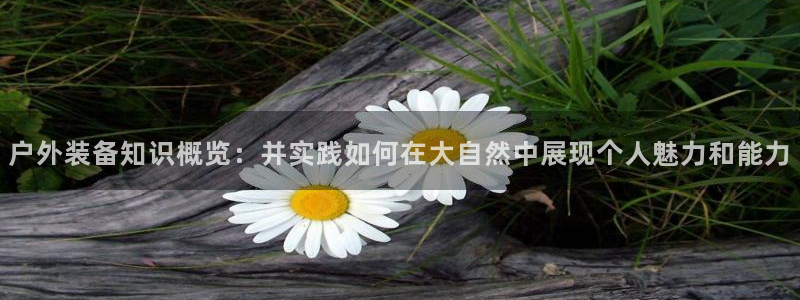 新宝gg最新章节