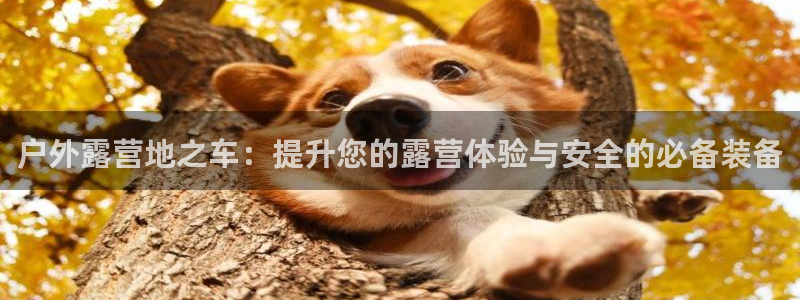 j新宝GG