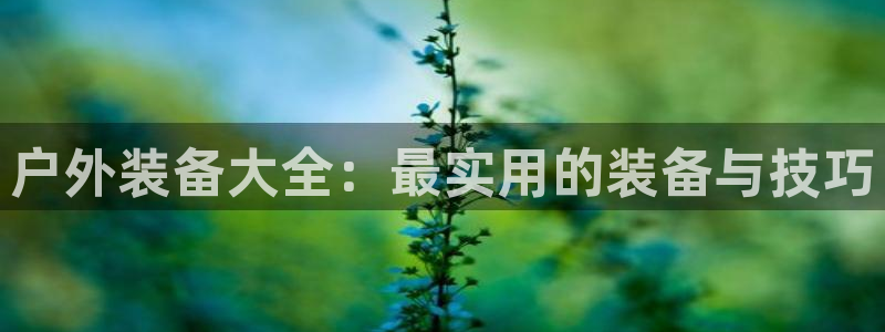 新宝gg 创造奇迹