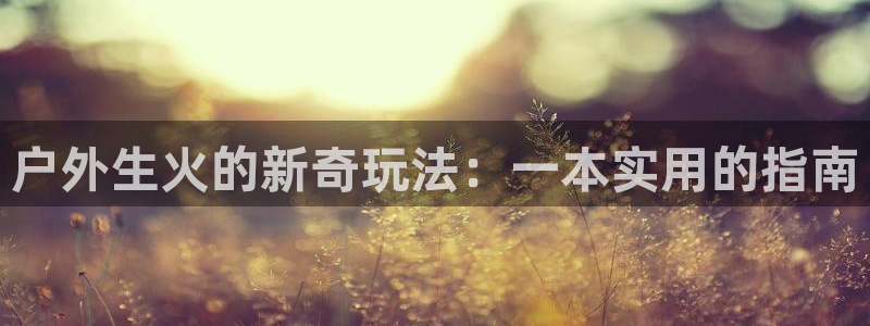 新宝gg代理条件