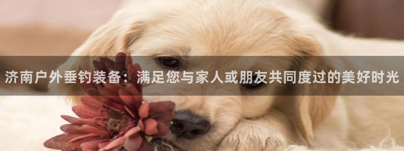 谁有新宝GG
