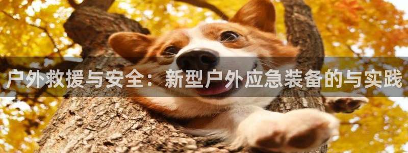新宝GG无法充值