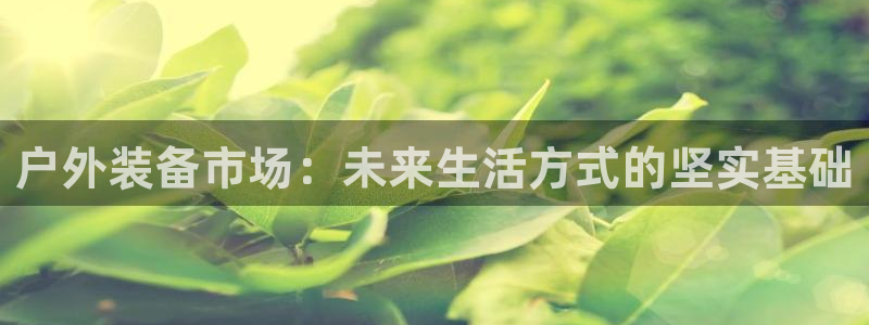 新宝gg正规