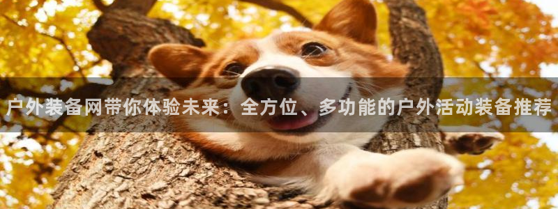 新宝gg注销