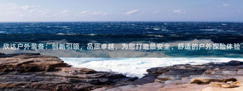 新宝gg入口网址