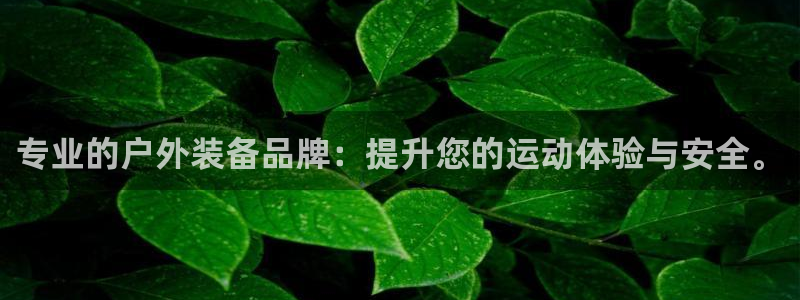 新宝gg总代理