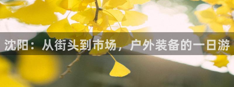 新宝gg 奇迹