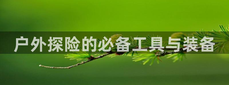 新宝gg找回账号