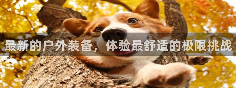 新宝gg招商致胜团队