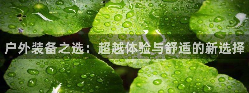 新宝集团gg