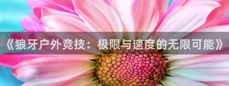 新宝 gg最新
