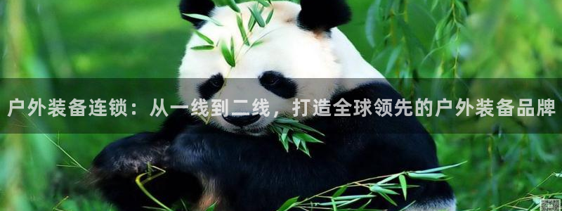 新宝gg总代理