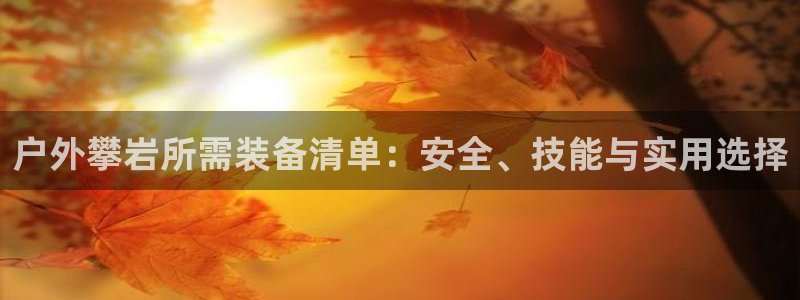 新宝gg平台连接