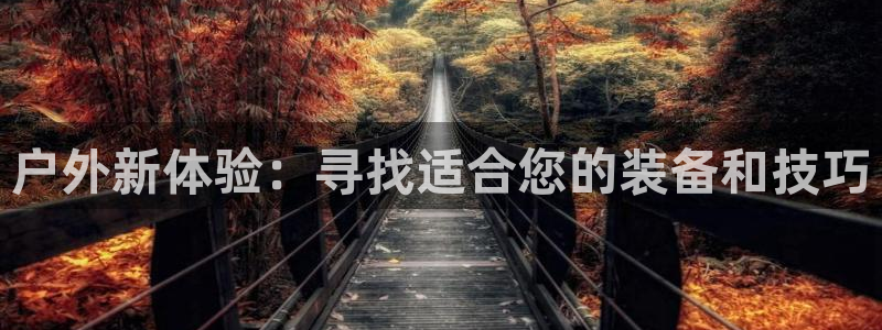 新宝gg怎样
