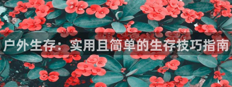 新宝gg游戏